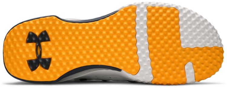 Under Armour Project Rock 1 White Gold