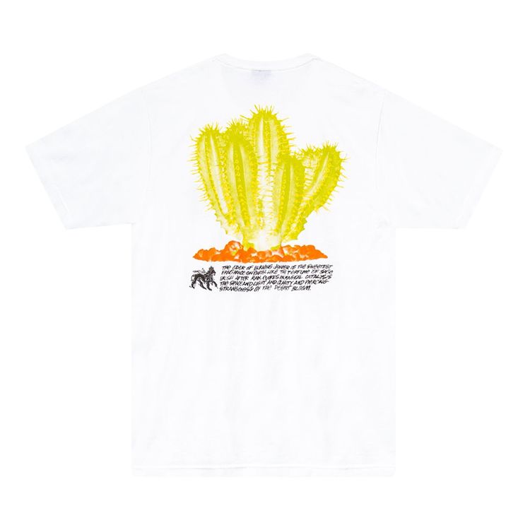 Stussy Desert Bloom Tee White