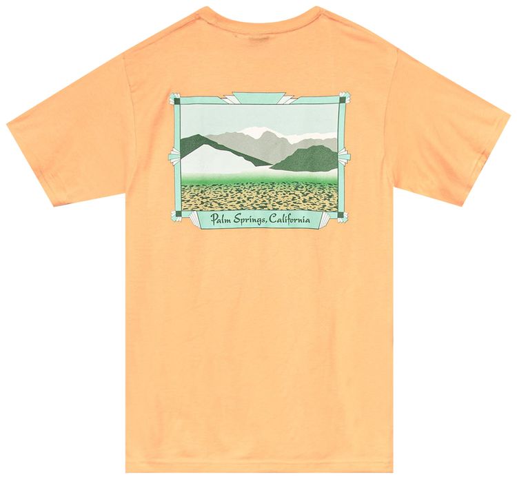 Stussy Palm Springs Tee Peach