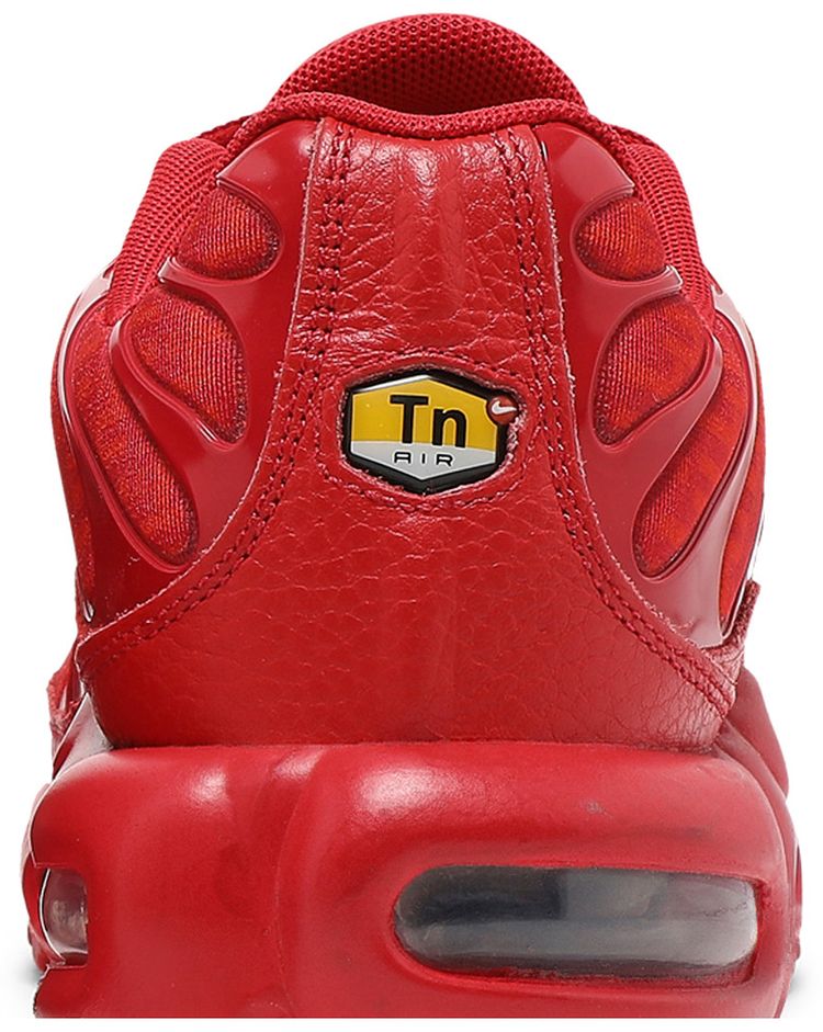 Nike Air Max Plus University Red