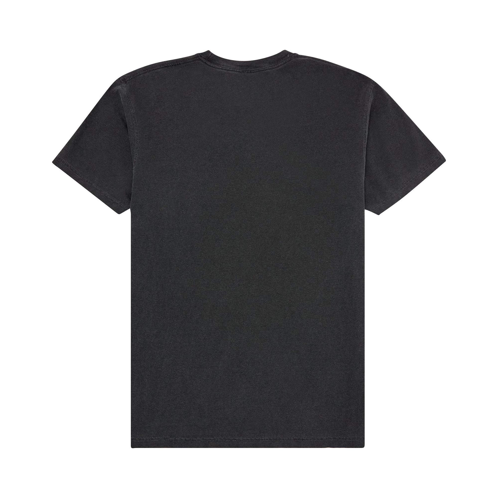 Buy Pleasures End Times Pigment Dye T-Shirt 'Washed Black