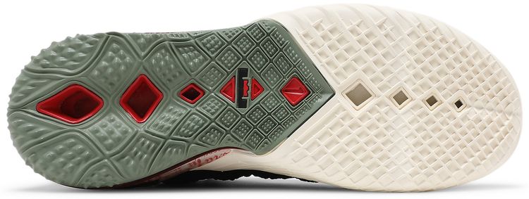 Nike Diana Taurasi x LeBron 18 La Cabra