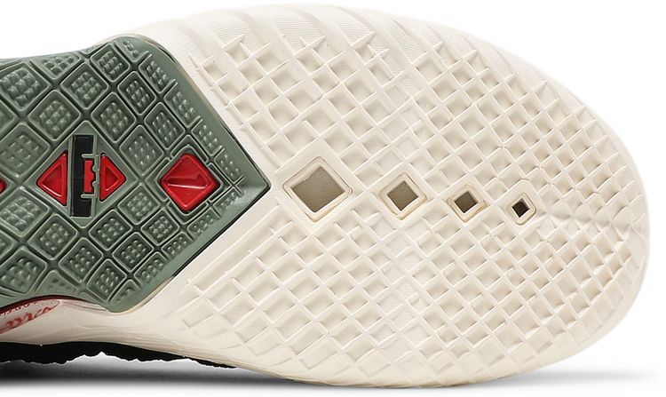 Nike Diana Taurasi x LeBron 18 La Cabra