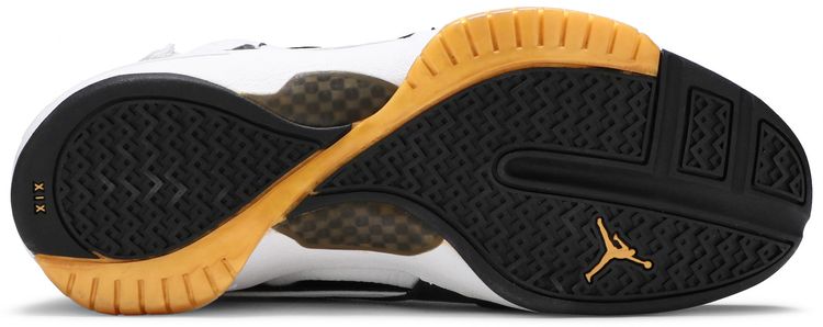 Air Jordan 19 OG West Coast