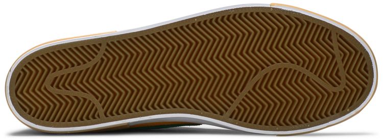 Nike Zoom Blazer Mid Edge SB Multi Color