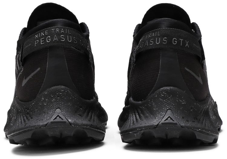 Wmns Pegasus Trail 2 Gore Tex Black Metallic Dark Grey