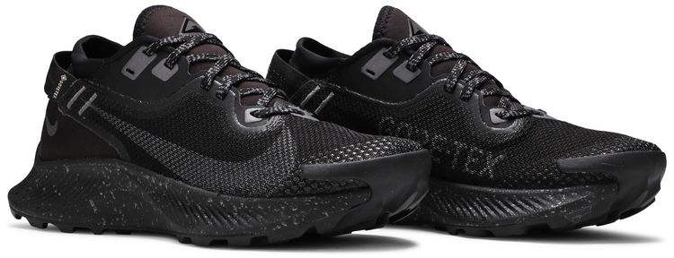 Wmns Pegasus Trail 2 Gore Tex Black Metallic Dark Grey