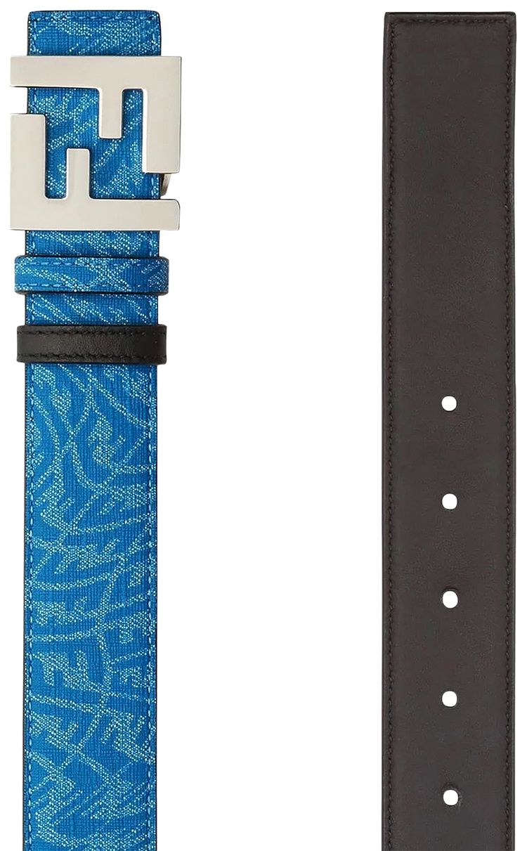 Fendi x Sarah Coleman Fisheye Logo Belt BlackBlue