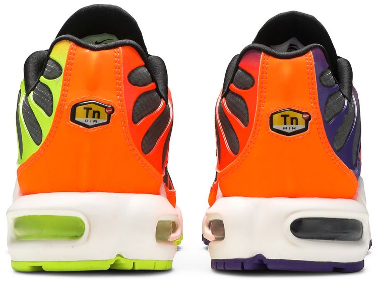 Air Max Plus Color Flip