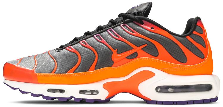 Air Max Plus Color Flip