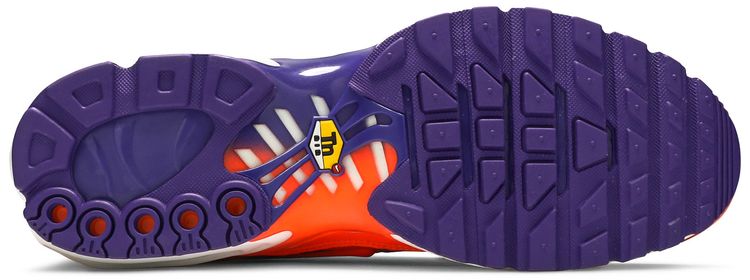 Air Max Plus Color Flip
