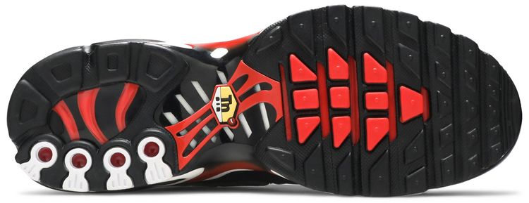 Nike Air Max Plus GS Script Swoosh