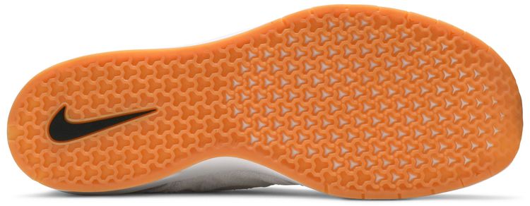 Nike Air Max Janoski 2 SB White Gum