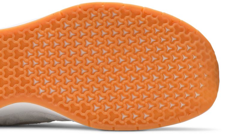 Nike Air Max Janoski 2 SB White Gum