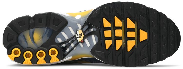 Nike Air Max Plus Wave Grid