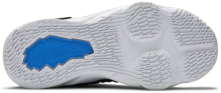 Nike LeBron 17 GS James Gang