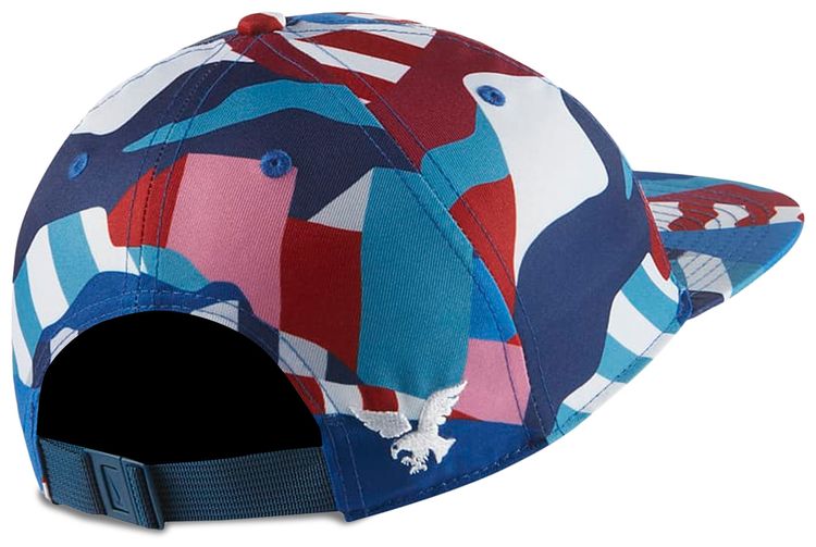 Nike SB x Parra USA Federation Kit Skate Cap Brave BlueWhite