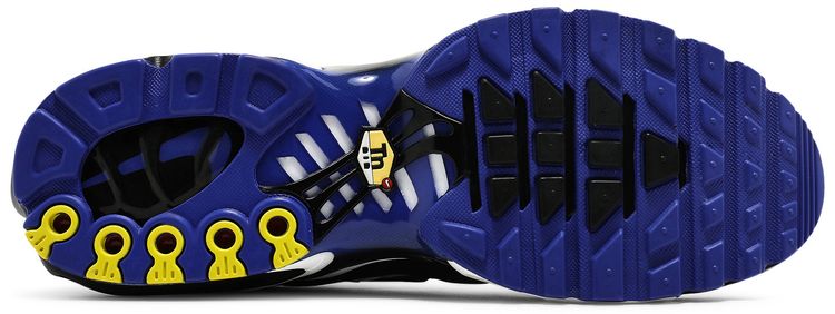 Nike Air Max Plus Persian Violet