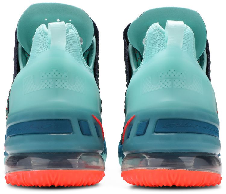 LeBron James Family Foundation x Nike LeBron 18 We Are Family