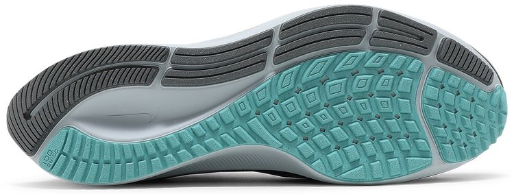 Nike Air Zoom Pegasus 38 LE Greedy