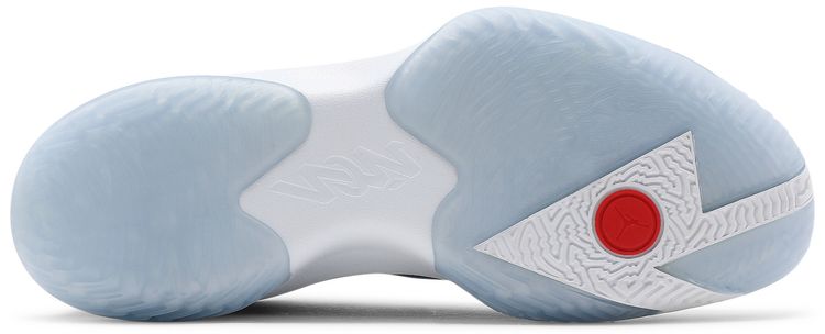 Air Jordan Zion 1 USA