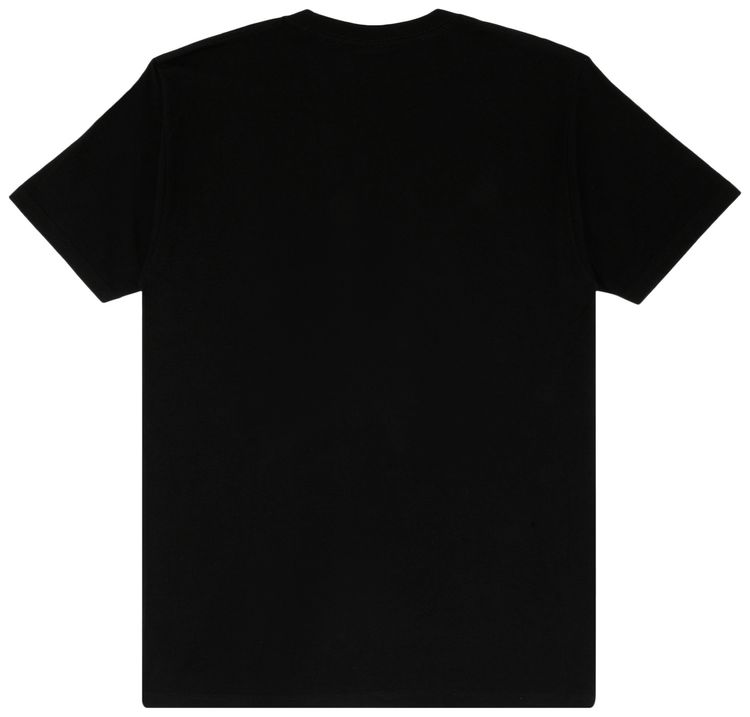 Stussy Paisley Skull Tee Black