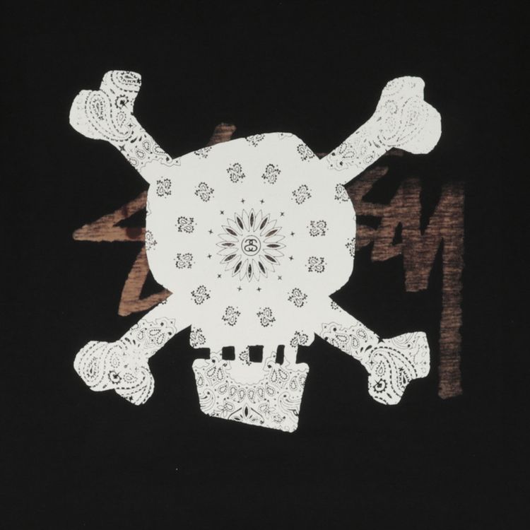Stussy Paisley Skull Tee Black