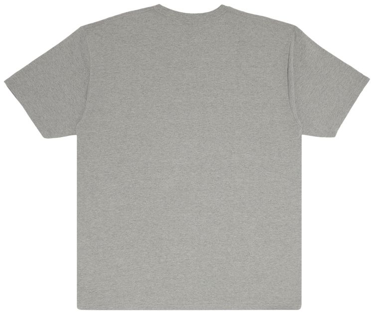 Stussy And Then Some Tee Heather Grey