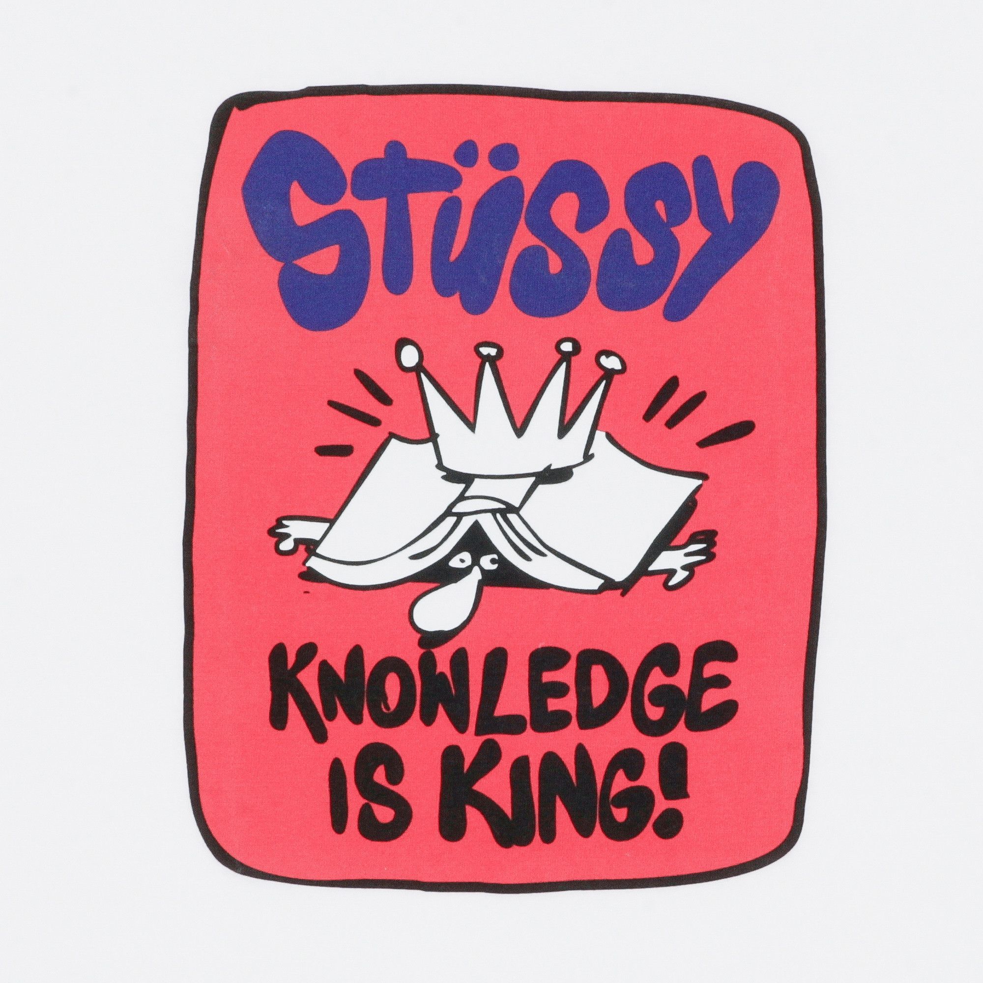 189 stussy ステューシー KNOWLEDGE IS KING M