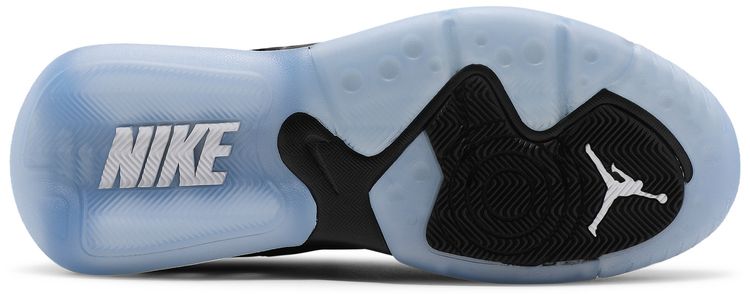 Air Jordan Point Lane Black Ice