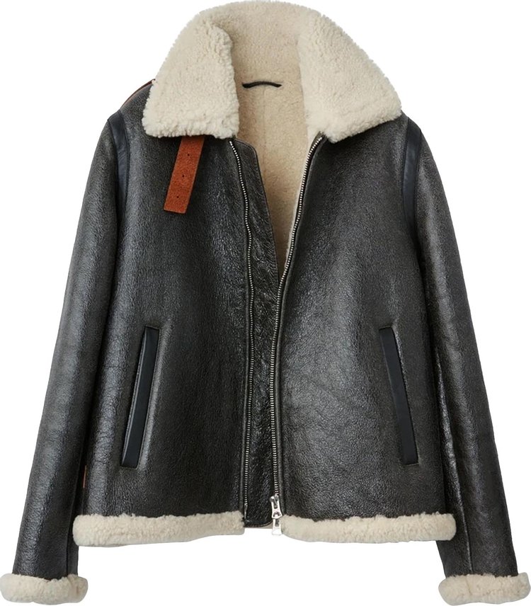 Buy Acne Studios Shearling Lined Calf Leather Jacket 'Dark Brown ...