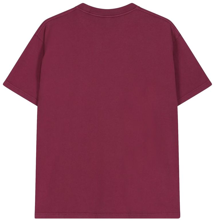 Brain Dead Failed Science Tee Washed Pink