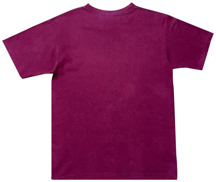 Vintage Bjork Homogenic Tee Maroon