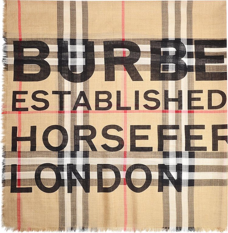 Burberry Address Giant Check Scarf 'Brown'