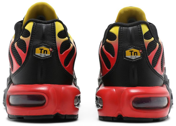 Nike Air Max Plus Gradient