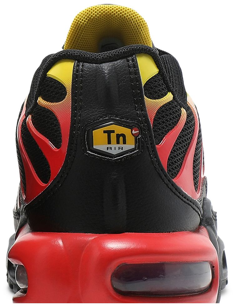 Nike Air Max Plus Gradient