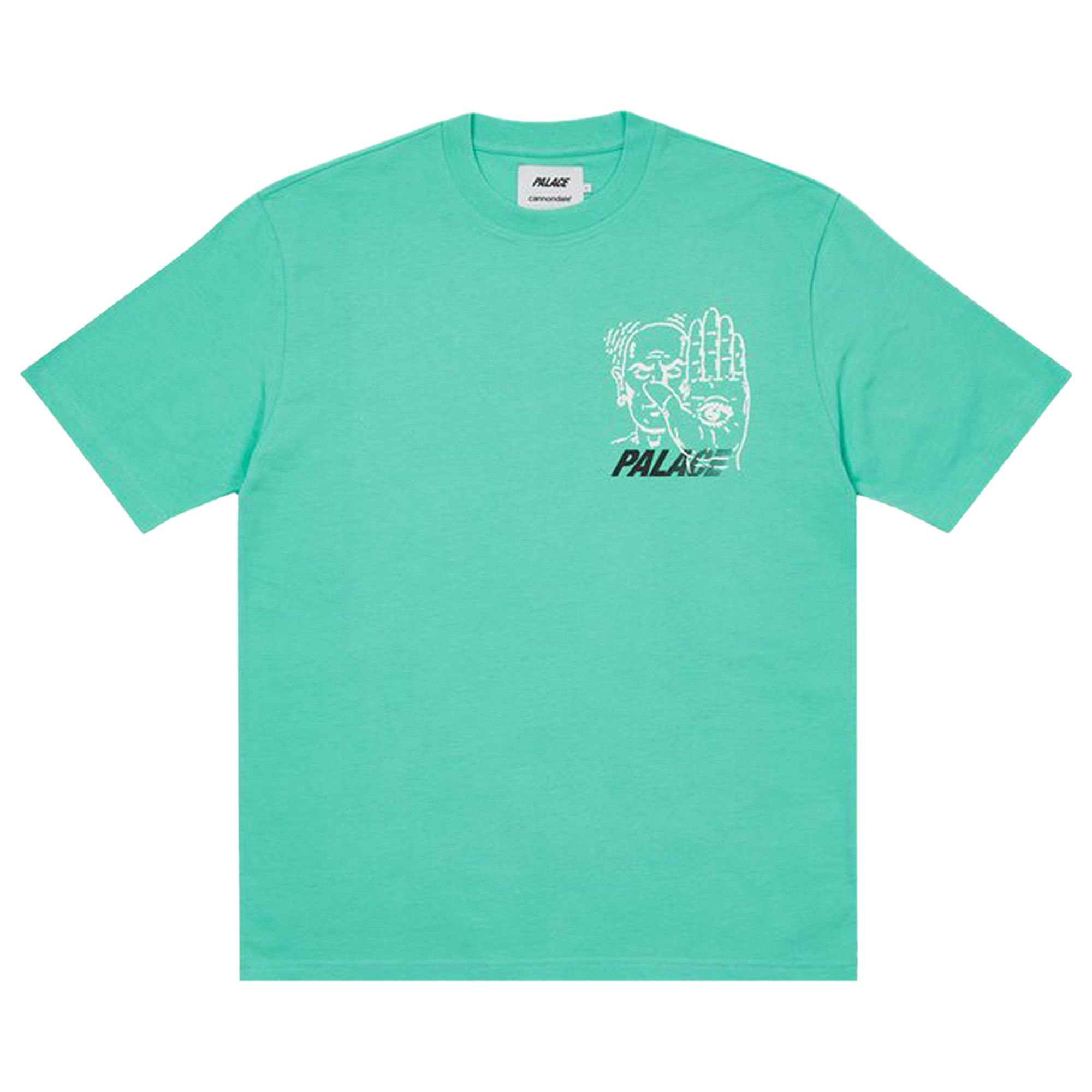 Buy Palace Cannondale Mad Boy T-Shirt 2 'Mint' - P21CTS007 | GOAT