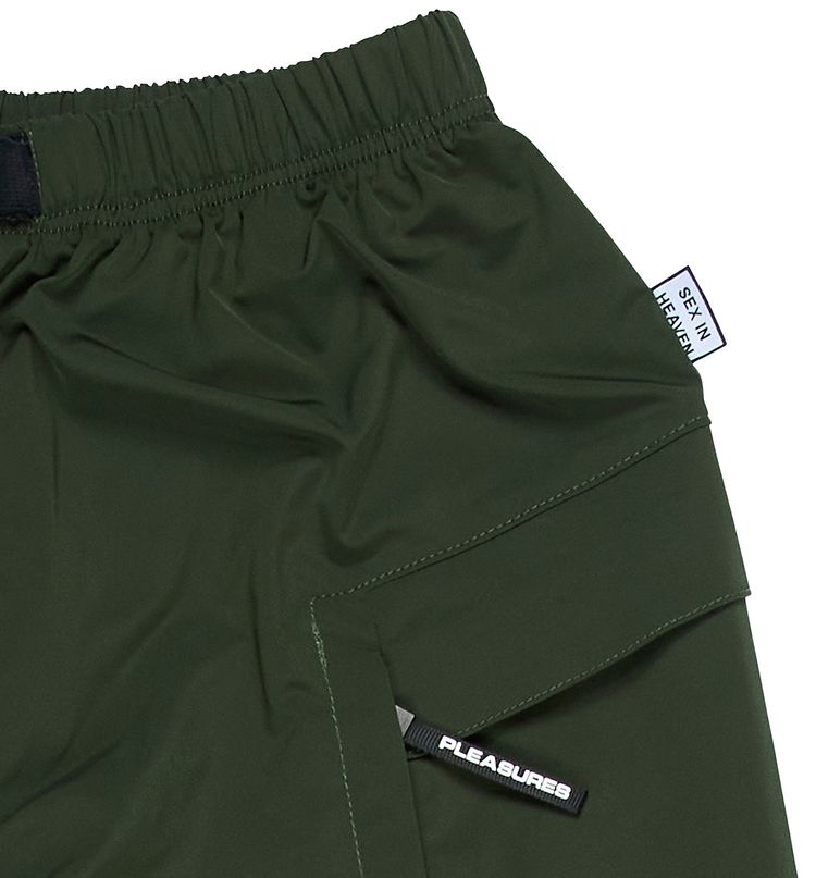 Pleasures Blackout Hiking Pant Green