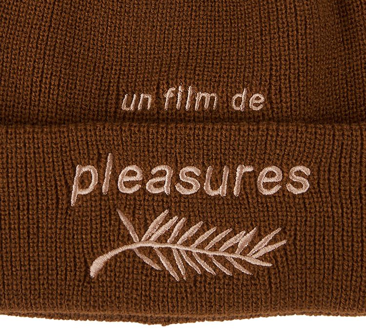 Pleasures Film Beanie Brown