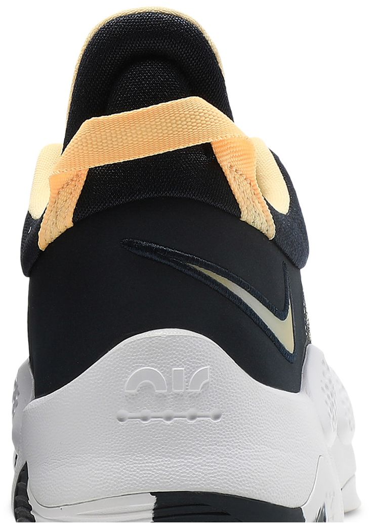 Nike PG 5 Dark Obsidian Melon Tint