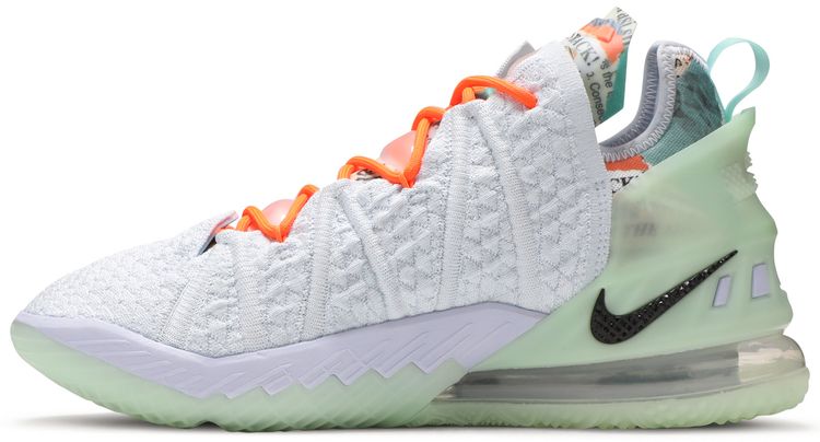 Diana Taurasi x Nike LeBron 18 GOAT Vision