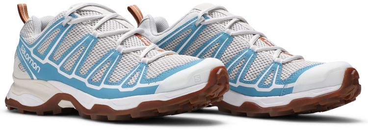 Salomon X Ultra Advanced Lunar Rock Niagara