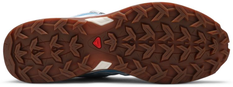 Salomon X Ultra Advanced Lunar Rock Niagara