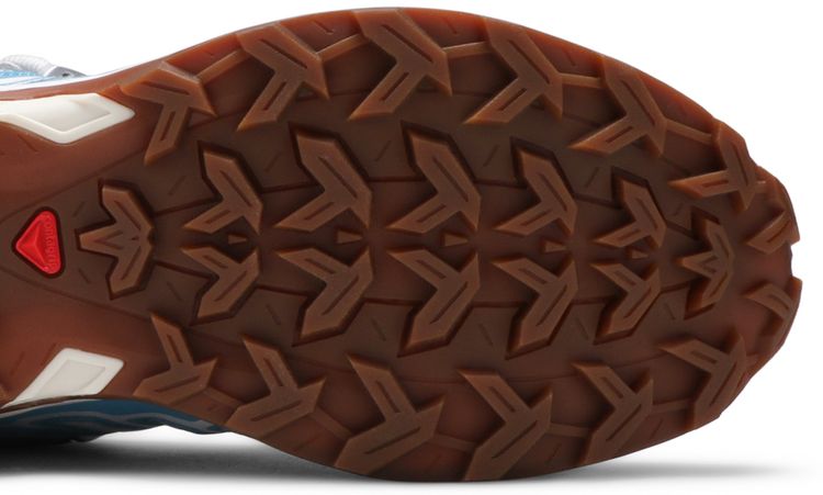 Salomon X Ultra Advanced Lunar Rock Niagara