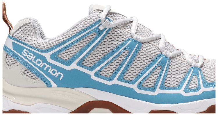 Salomon X Ultra Advanced Lunar Rock Niagara