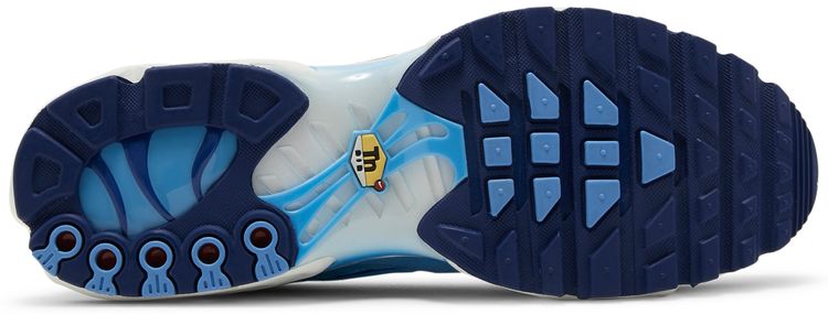 Nike Air Max Plus SE First Use   University Blue
