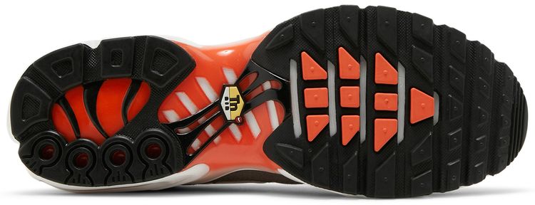 Nike Air Max Plus First Use