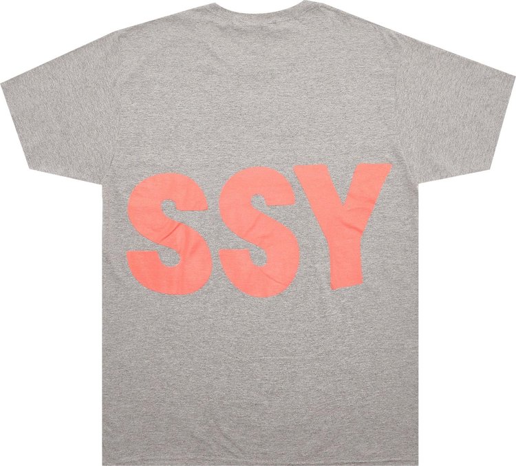 Stussy Big Stussy Tee Grey