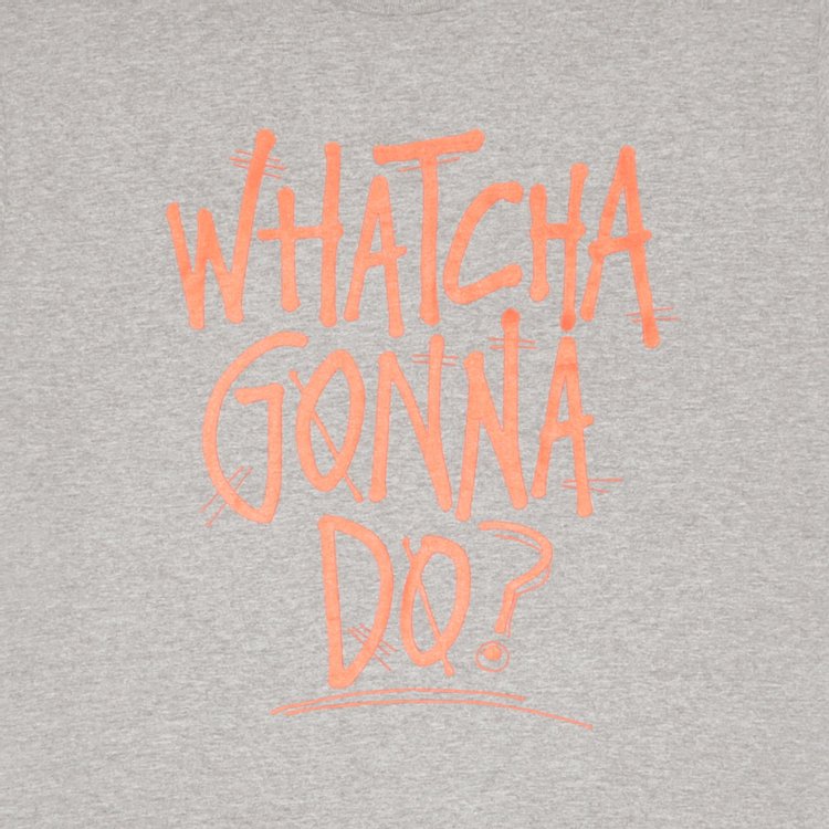 Stussy Watcha Gonna Do Tee Grey Heather