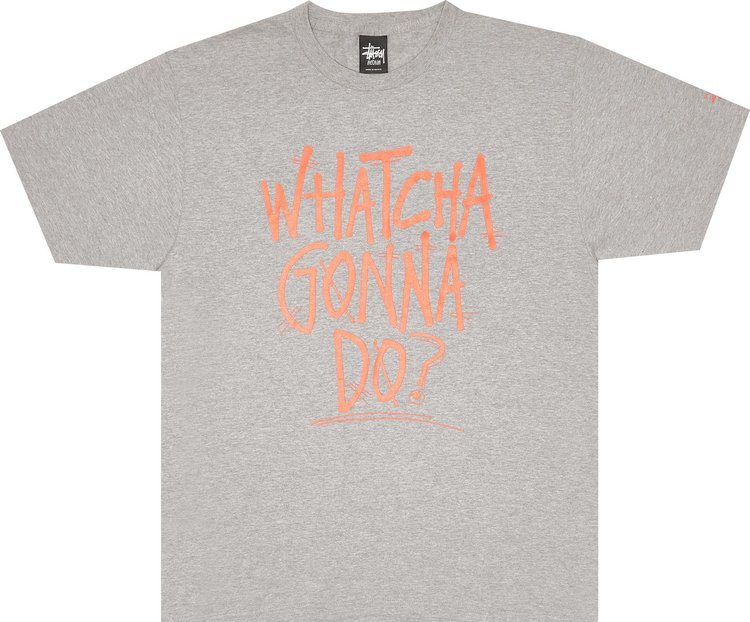 Stussy Watcha Gonna Do Tee Grey Heather